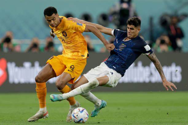 1669414454382078449.jpg 1245086307-612x612.jpg